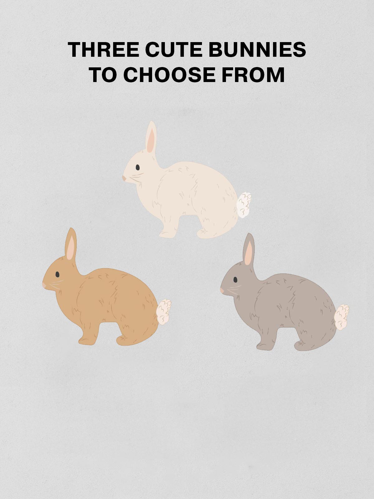 Minimalistic Rabbit Labels