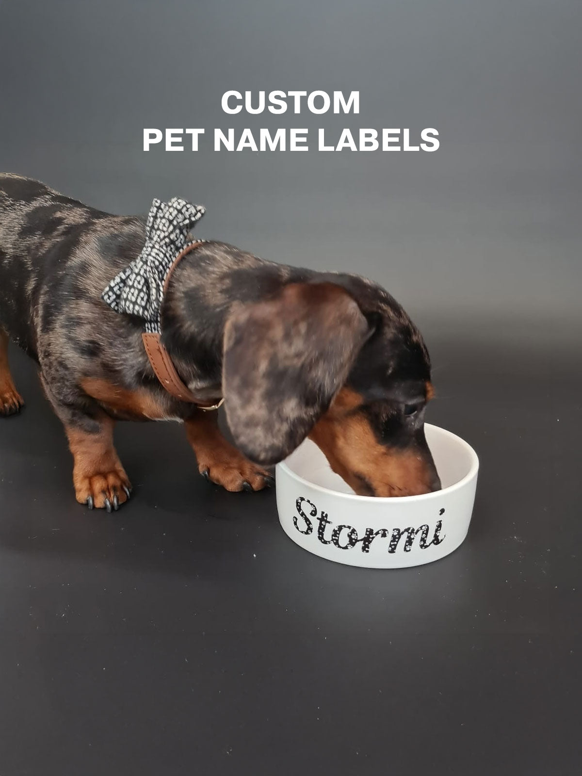 Patterned Pet Name Labels