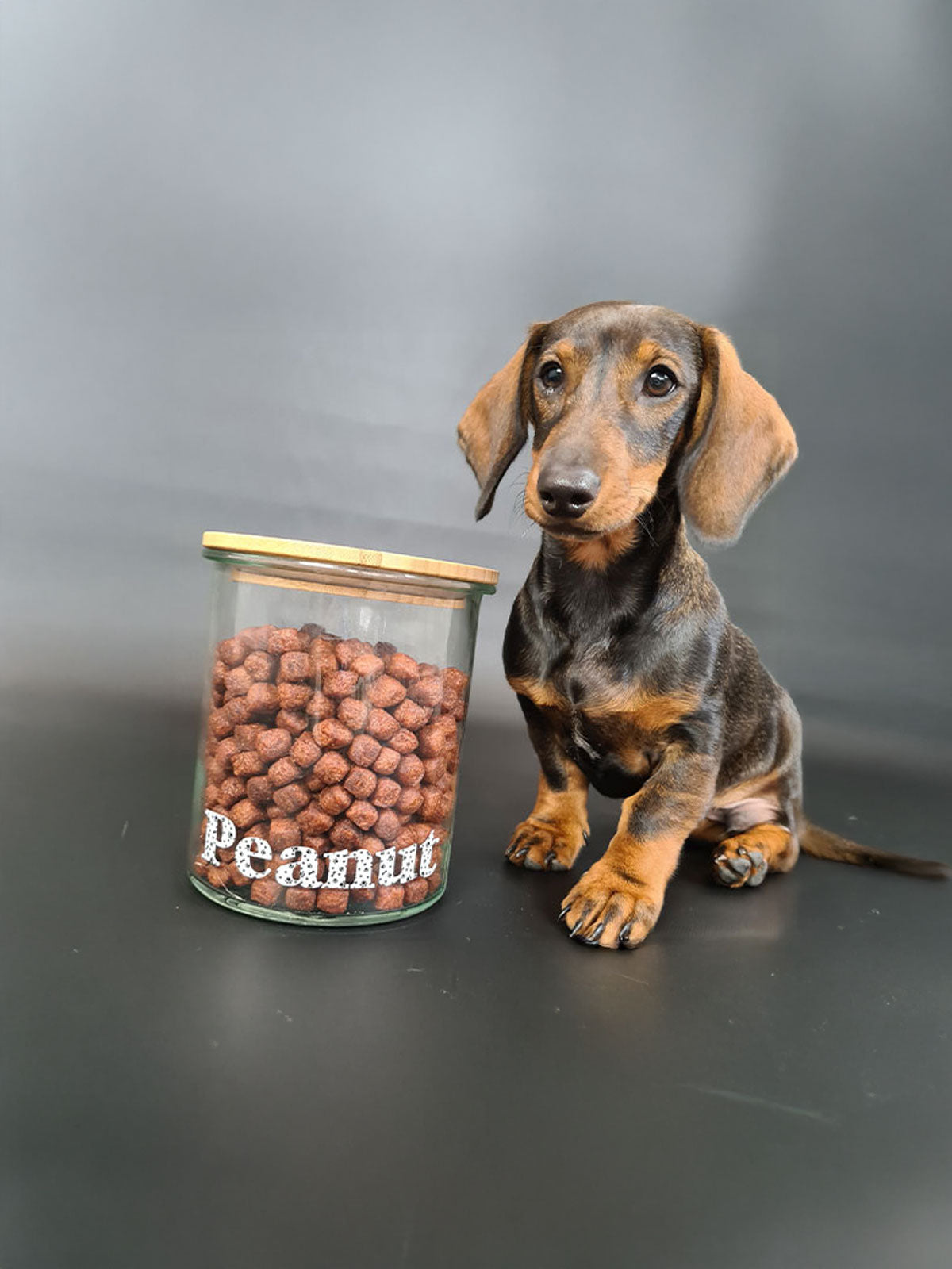 Patterned Pet Name Labels