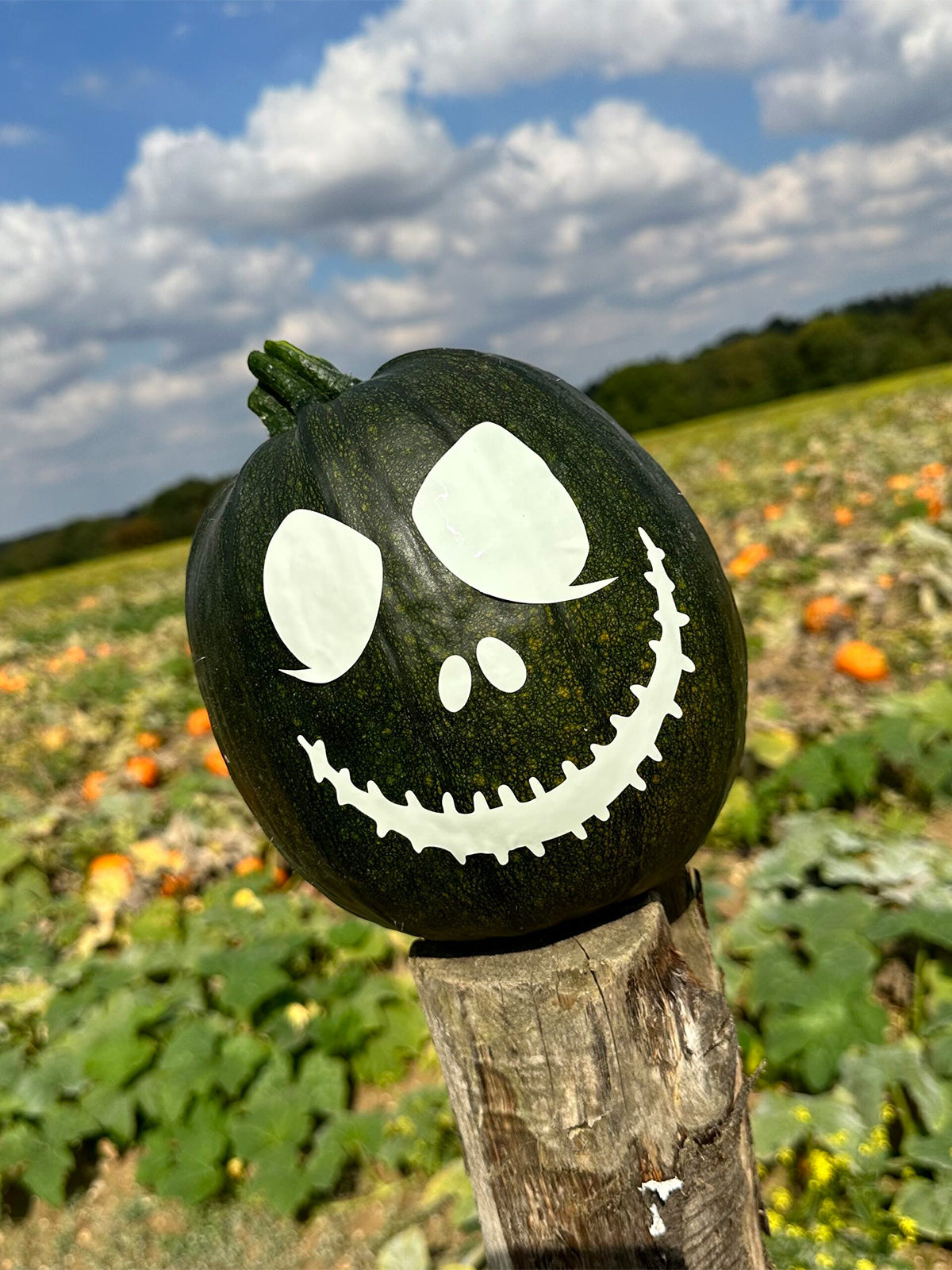 Halloween Pumpkin Labels