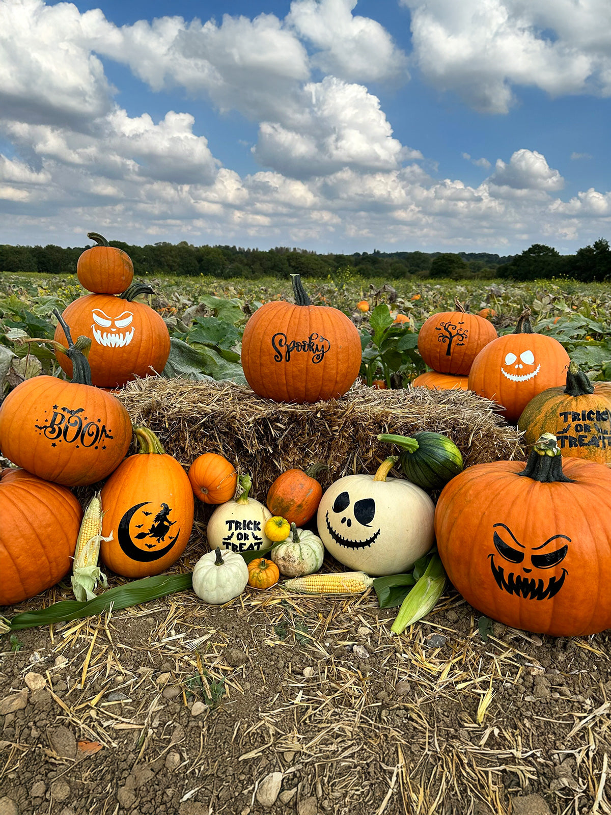 Halloween Pumpkin Labels